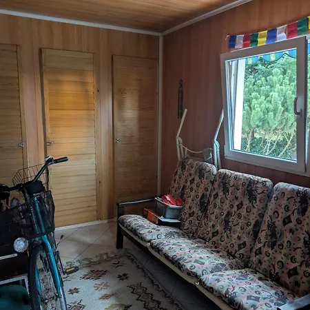 Cozy And Spacious In A Calm, Authentic