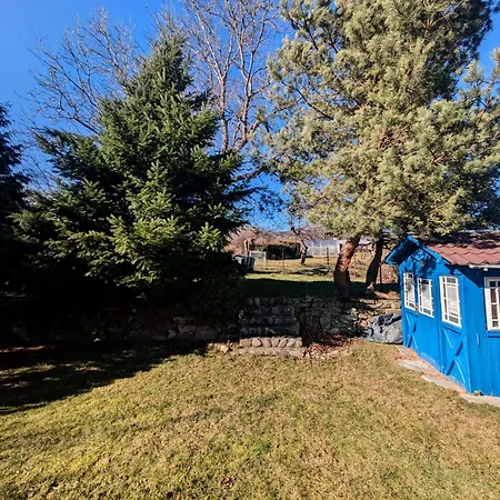 Cozy And Spacious In A Calm, Authentic Séjour chez l'habitant *